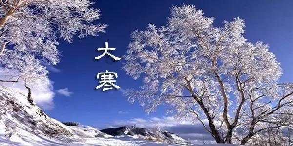 狐狸的旅程
